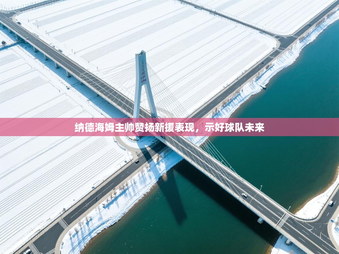 纳德海姆主帅赞扬新援表现,示好球队未来 第1张