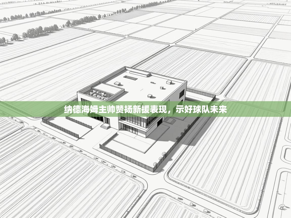 纳德海姆主帅赞扬新援表现,示好球队未来 第2张