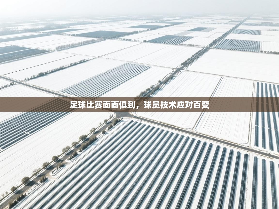足球比赛面面俱到,球员技术应对百变 第1张