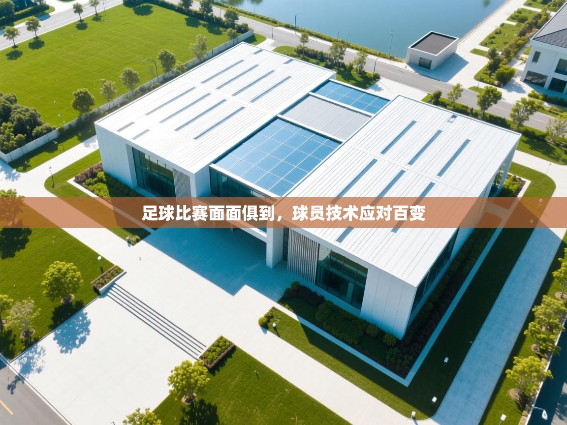 足球比赛面面俱到,球员技术应对百变 第2张