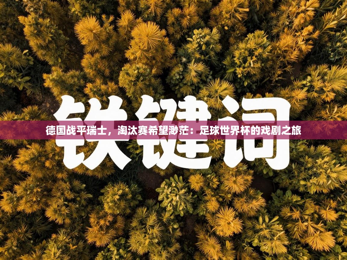 德国战平瑞士,淘汰赛希望渺茫:足球世界杯的戏剧之旅 第2张